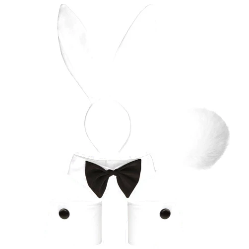 Feacole Bunny Costume Set - Rabbit Ears Headband, Bow Tie, Cuff and Tail Accessories Kit