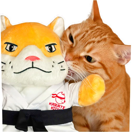 KARATE KITTY Cat Puppet Toy with Arm Sleeve – Boxing & Arm Wrestling Glove for Cats with Realistic Movements, Catnip Pocket & Crinkle Ears
