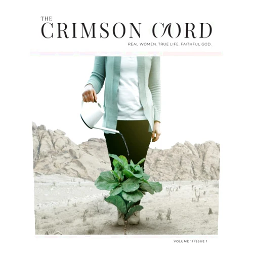 The Crimson Cord,Eidene Anderson,Claudia Boling,Jaci Greggs,Melissa G,Cheryl Pietzsch,Patricia Heath,Cyndi S,Brittany Tarchala,Briana Terrell The Crimson Cord: Issue 11 Volume 02 (Spring 2021)