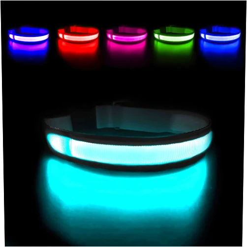 MASBRILL Light Up Dog Collars - LED Dog Collar Rechargeable Lighted Dog Collars Resistant-Water Night Walking Glow in The Dark Collars