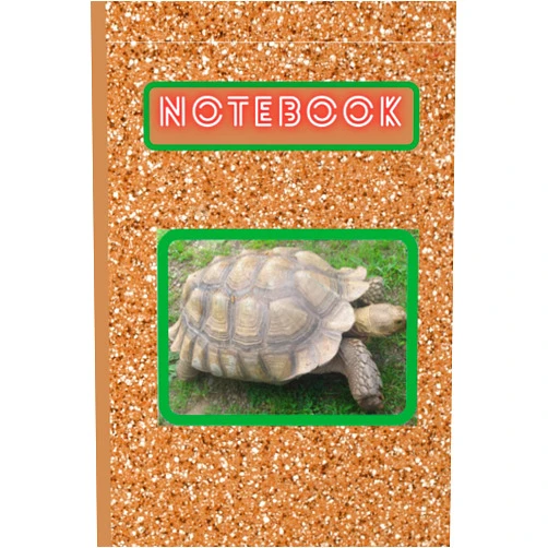 Kathleen F Glasscock Turtle Notebook: A Notebook or Journal for Lovers of Turtles, Tortoises, or Terrapins