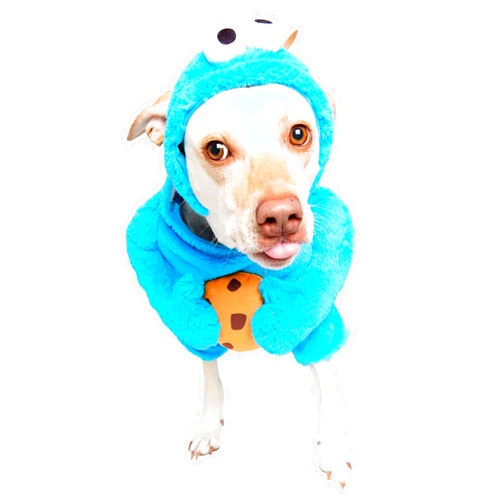 Pet Krewe Unleash The Parade X-Large Cookie Monster Dog Costume Sesame Street Pet Costumes - Perfect for Halloween, Christmas Holiday, Parties, Photoshoots, Gifts for Dog Lovers