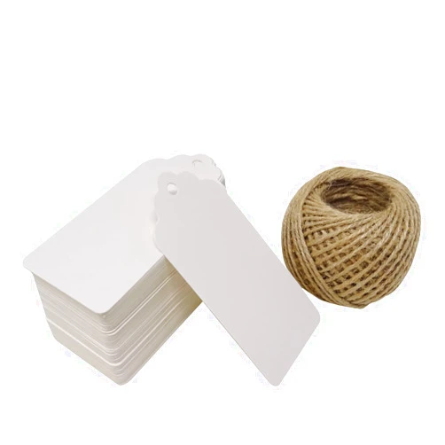 Honbay 100PCS 10x5cm/4x2inch Kraft Paper Blank Gift Tags Labels with 100 Feet Jute Twine (White)