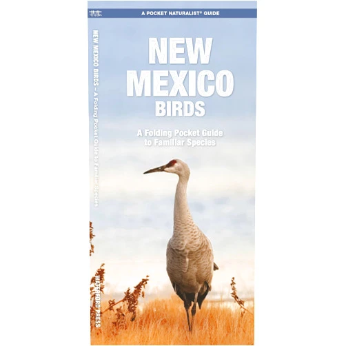 By Senior Consultant James Kavanagh (Author), Waterford Press Waterford Press (Author), Raymond Leung (Illustrator) & 1 more New Mexico Birds (Nature Observation North America)