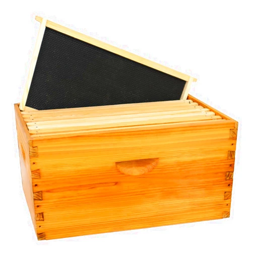 BEEINN 8 Frame Deep Brood Bee Hive Box, Langstroth Honey Bee Hives Bee Box for Sale Dipped in 100% Beeswax Include Beehive Frames & Waxed Foundation Sheets (Unassembled)