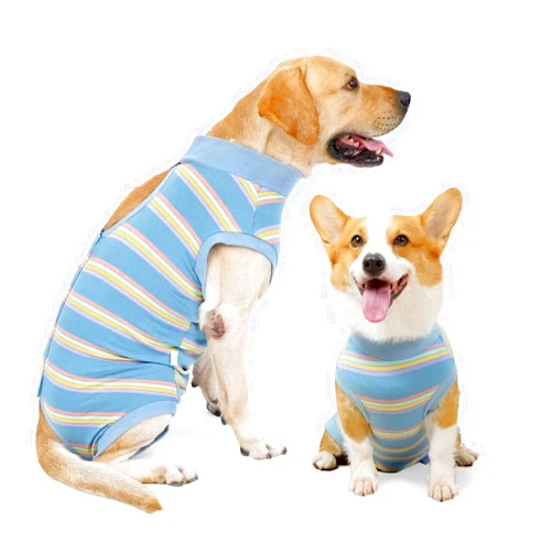 HEYWEAN Dog Surgical Recovery Suit for Dogs Keep Dog from Licking Abdominal Wound Protector E-Collar Alternative After Surgery Wear Pet Supplier (Blue, S)