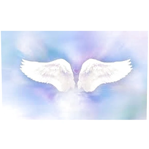 Generic Angel Wings Type Fragrance Oil (1 oz Bottle) Premium Grade - Designed to Be Used in Candles, Soaps, Wax Melts Snap Bars, Body Products, Room Sprays