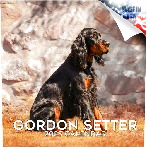 MegaCalendars 2024 2025 Gordon Setter Calendar - Dog Breed Monthly Wall Calendar - 12 x 24 Open - Thick No-Bleed Paper - Giftable - Academic Teacher's Planner Calendar Organizing & Planning - Made in USA