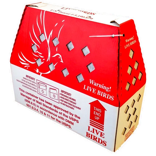 Pinnon Hatch Farms 'Lite Shipper' Live Chicken Shipping Boxes (10 pack)