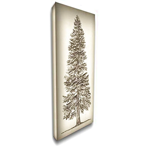 ArtDirect Pacific Northwest Tree Sketch I 10x18 Gallery Wrapped Canvas Museum Art by Wang, Melissa