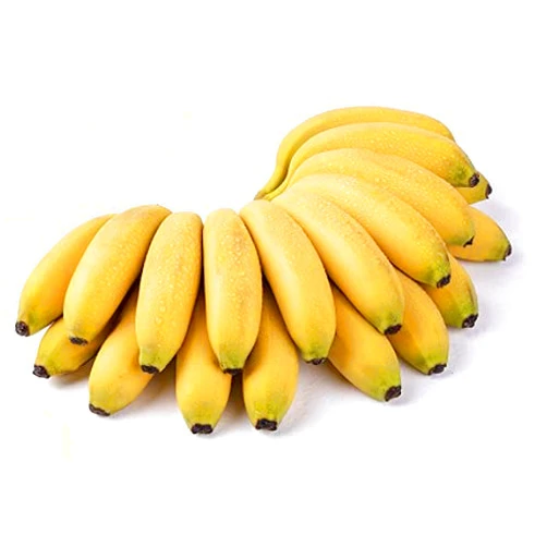 KEJORA Apple Bananas, Fresh Apple Bananas, Manzano Banana 2.5 LBS