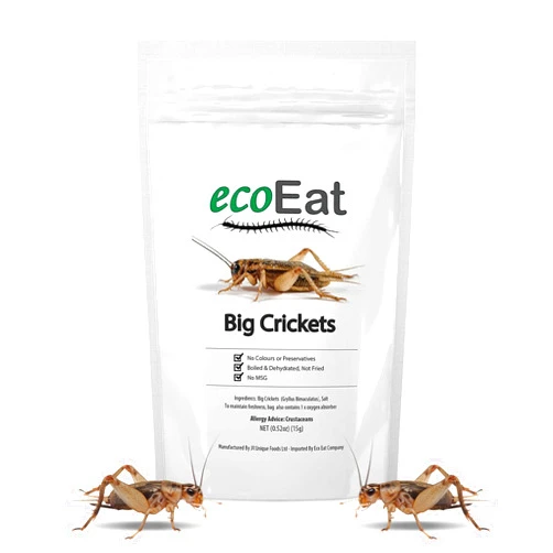EcoEat Edible Insects Big Black Crickets to Eat – Edible Bugs Edible Dehydrated Crickets - Snack Food Gifts (15g)