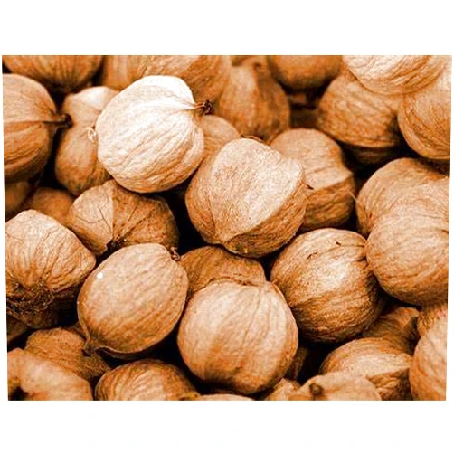 Generic 2 pounds bagged Hickory nuts in shell! Freshly harvested