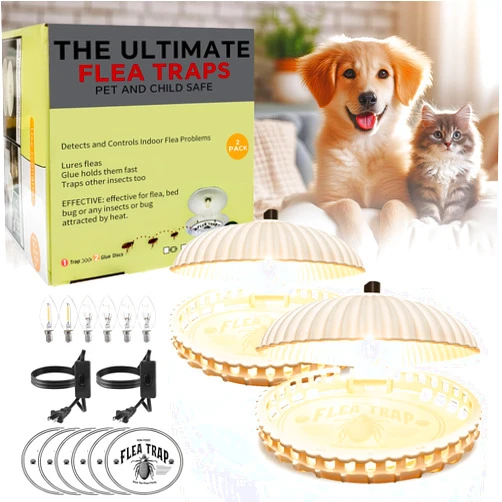 HECO ARMOR 2 Packs Flea Traps for Inside Your Home, Flea Light Trap with Light for Bugs USB Charing Insect Pest Control Traps for Kitchen, Living Room, Balcony, and Bedroom