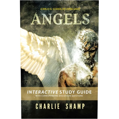 Charlie Shamp Angels Workbook: A Biblical School of Living Light