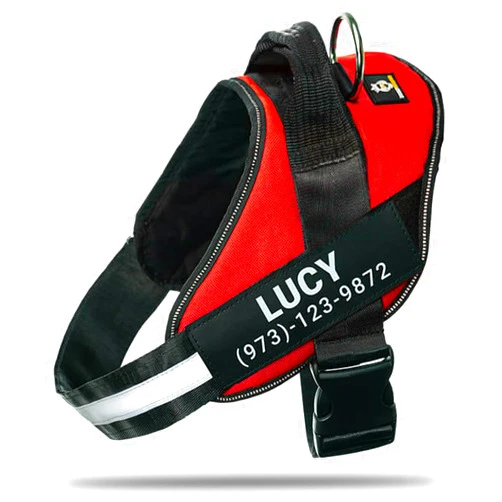 Doggykingdom Personalized No-Pull Dog Harness with Name Patch, Padded, Adjustable and Reflective Service Dog Vest, Easy On Dog Harnesses for Medium Large Small Sized Dog Red, L