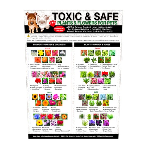 TLC Safety By Design Premium Toxic and Safe Plants & Flowers Poison for Pets Dogs Cats Emergency Large Format Veterinarian Approved Refrigerator Safety Magnet 8.5” x 11”