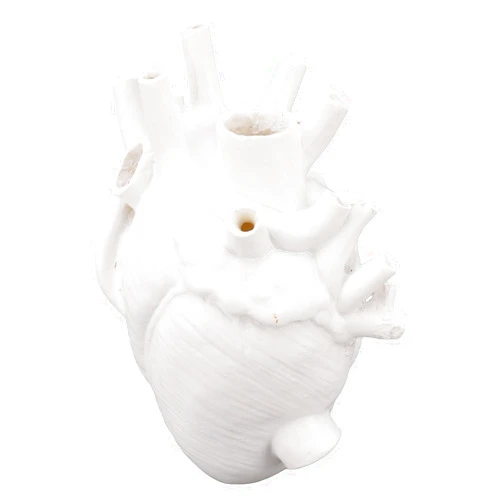 JTLB Creative Anatomical Heart Vase,Heart Shaped Decor Resin Flower Pot Modern Nordic Art Decorative Vase for Desktop Home Decoration Wedding Valentine's Day Gift ﻿ (White)