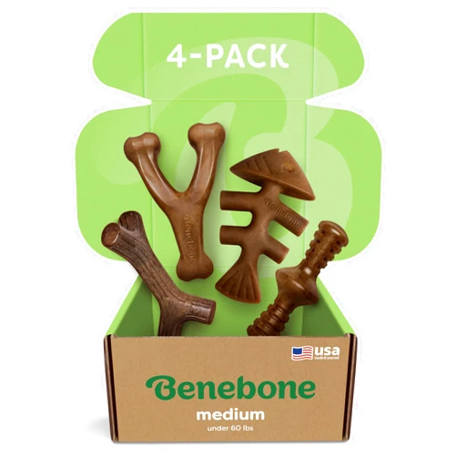 Benebone Medium 4-Pack Dog Chew Toys for Aggressive Chewers, Made in USA, 60lbs and Under