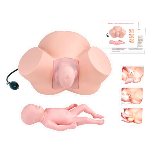 SFXYJ Birth Midwifery Training Model Simulator, Life Size Childbirth Demonstration Obstetrics Gynecology Normal Abnormal Fetal Positions Delivery Maternity Manikin for Teaching Medical