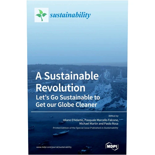Idiano D'Adamo,Pasquale Marcello Falcone,Michael Martin A Sustainable Revolution: Let's Go Sustainable to Get our Globe Cleaner