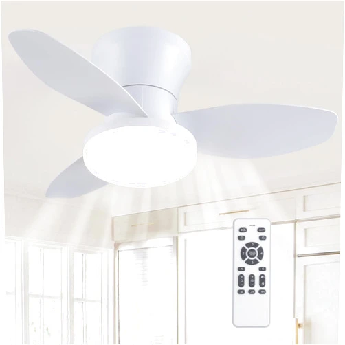Ricodo Ceiling Fans with Lights, 24 inch Low Profile Ceiling Fan with Light with Reversible Motor, Flush Mount Ceiling Fans with Lights and Remote 6 Wind Speeds, Quiet Ceiling Fan for Bedroom/Kitchen/Stuido