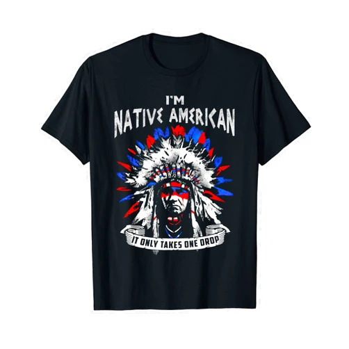 I'm Native American It Only Take One Drop T-Shirt