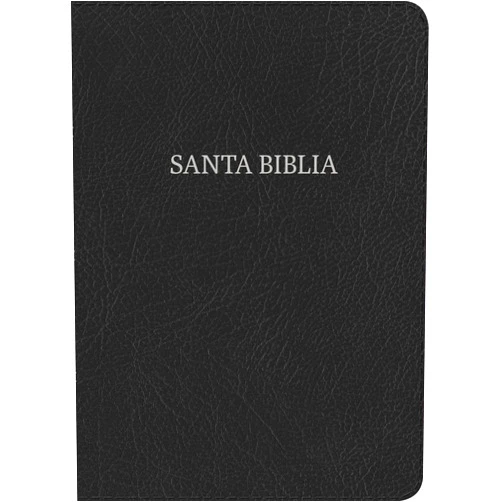 B&H Español Editorial Staff Biblia Reina Valera 1960 Letra Gigante. Piel fabricada, negro / Giant Print Bible RVR 1960. Bonded Leather, Black (Spanish Edition)