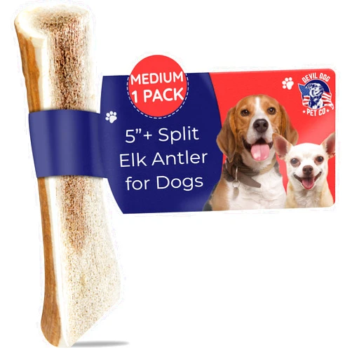 Devil Dog Pet Co. Split Elk Antlers for Dogs, 1 Pack, Medium 5”+, Grade A Long Lasting Dog Bones for Aggressive Chewers, Premium USA Naturally Shed Antler Dog Chew – No Odor, Dog Antler Chews