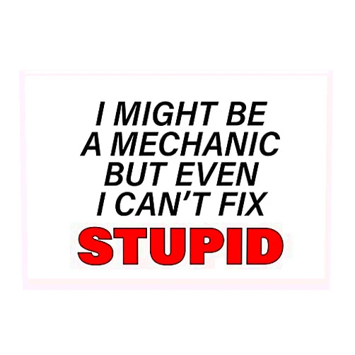 JP's Parcels Funny Tool Box Magnet Sign - 4x6 in. I Might Be A Mechanic But Even I Can't Fix Stupid