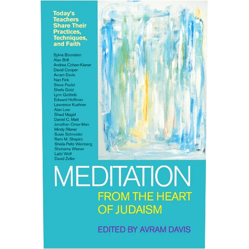 By Avram Davis (Editor) Meditation from the Heart of Judaism: Today's Teachers Share Their Practices, Techniques, and Faith