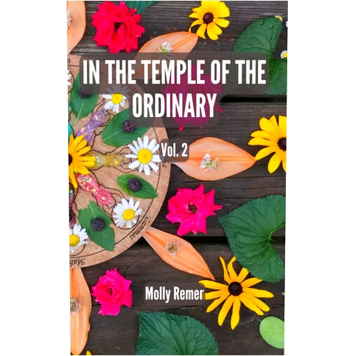 Molly M Remer In the Temple of the Ordinary: poems of presence, volume 2