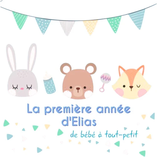 BabyMemories FR Publishing La première année d'Elias - de bébé à tout-petit: Album bébé à remplir pour la première année de vie - Album naissance garçon (French Edition)