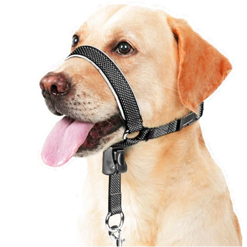 BARKLESS Dog Head Collar, Soft No Pull Head Halter, Reflective Muzzle Leash with Safety Link, Adjustable Headcollar, Padded Nose Leash for Large Medium Dogs Training Walking (Black, L)