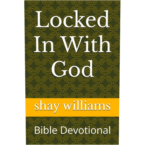 By shay williams (Author) Locked In With God: Bible Devotional