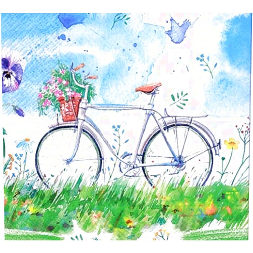 Meikobuly Set of 2 Individual Decoupage Paper Party Napkins BICYCLE BIKE SUMMER DAY Watercolor Decor Luncheon Napkin for a Birthday, holiday, Wedding, Cocktail Party