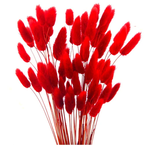JOJAZE 60pcs Dried Bunny Tails Flowers Red Pampas Grass Natural Dried Floral Arrangement Dry Flowers for Christmas Halloween Boho Decor Home Wedding DIY Craft Decoration (16