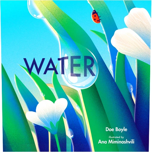 By Doe Boyle (Author), Ana Miminoshvili (Illustrator) Water (Imagine This!)