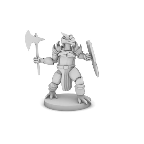 TDD MINIS Dragonborn Paladin Whole Tabletop DND Gaming Miniature