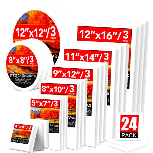 ESRICH 24 Pack Canvases for Painting with 4