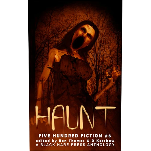 Black Hare Press,B.F. Vega,Chris Bannor,Chris Hewitt,Darlene Holt,David Green,Eric Butler,Helen M. Merrick,J.M. Faulkner,J.W. Garrett,Jay Alexander,Jodi Jensen,Kate Campbell,Kimberly Rei,L.J. McLeod,Leanbh Pearson,Lynne Lumsden Green,Lynne Phillips,Maxine Churchman,Patrick Winters,Peter J. Foote,R.A. Goli,S.O. Green,Sarah Jane Justice,Scott McGregor,Stephanie Scissom,Warren Benedetto Haunt: A Supernatural Anthology (Five Hundred Fiction Book 7)