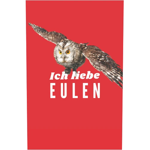 German Edition by Daniel Stutzke (Author) Ich liebe Eulen: 100 Seiten gepunktetes Notizbuch - Geschenke für Männer, Frauen und kinder die Eulen lieben eine schöne Geschenkidee für Schleiereulen Fans (German Edition)