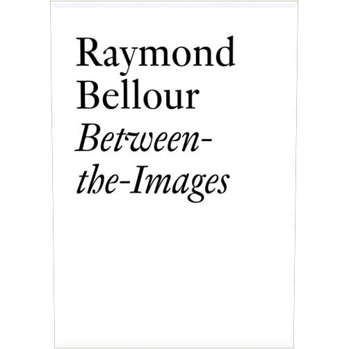 Raymond Bellour,Lionel Bovier Between the Images (Documents (JRP/Ringier))