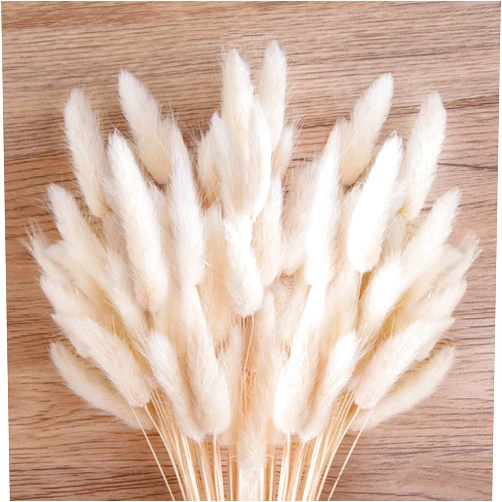 JOHOUSE 120PCS White Bunny Tails Dried Flowers, 17inch Dried Pampas Grass Decor, Bunny Tails Handpicked Bunch, Boho Flowers Home Table Decor, Fall Decor Wedding Decorations for Home