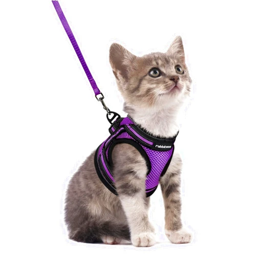 rabbitgoo Cat Harness and Leash Set for Walking Escape Proof, Adjustable Soft Kittens Vest with Reflective Strip for Cats, Comfortable Outdoor Vest, Purple, S