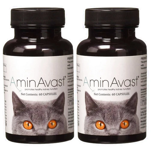 AminAvast Kidney Support Supplement for Cats and Small Dogs, 300mg 2-Pack - Promotes Natural Kidney Function - Aids in Health and Vitality of Aging Kidneys - Easily Administered - 60 Sprinkle Capsules