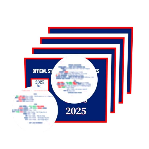 LPPROTECTOR Mahjong Cards 2025, 4pcs Official Revision- Large Print, Easy-to-Read - American Mah Jongg Rule Card Set (Not 2026)