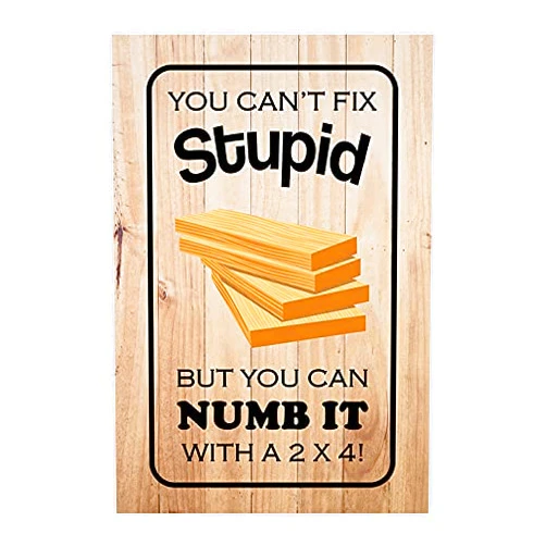 JP's Parcels Funny Tool Box Magnet Sign - 4x6 in. You Can't Fix Stupid But You Can Numb It with a 2X4
