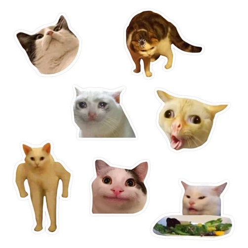 Generic Magnet Cat Meme - Pack Magnet Bumper Sticker Car Magnet Flexible Reuseable Magnetic Vinyl 5, LAB-CTMAGNETS-1457