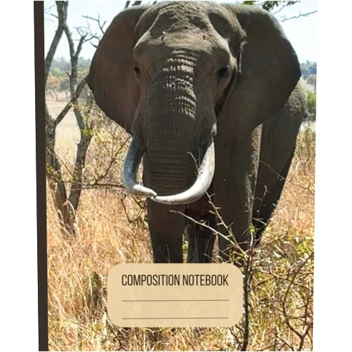 Jess-Lily Rowan Elephant Composition Notebook: College Ruled Creative Writing Book Featuring an African Animal